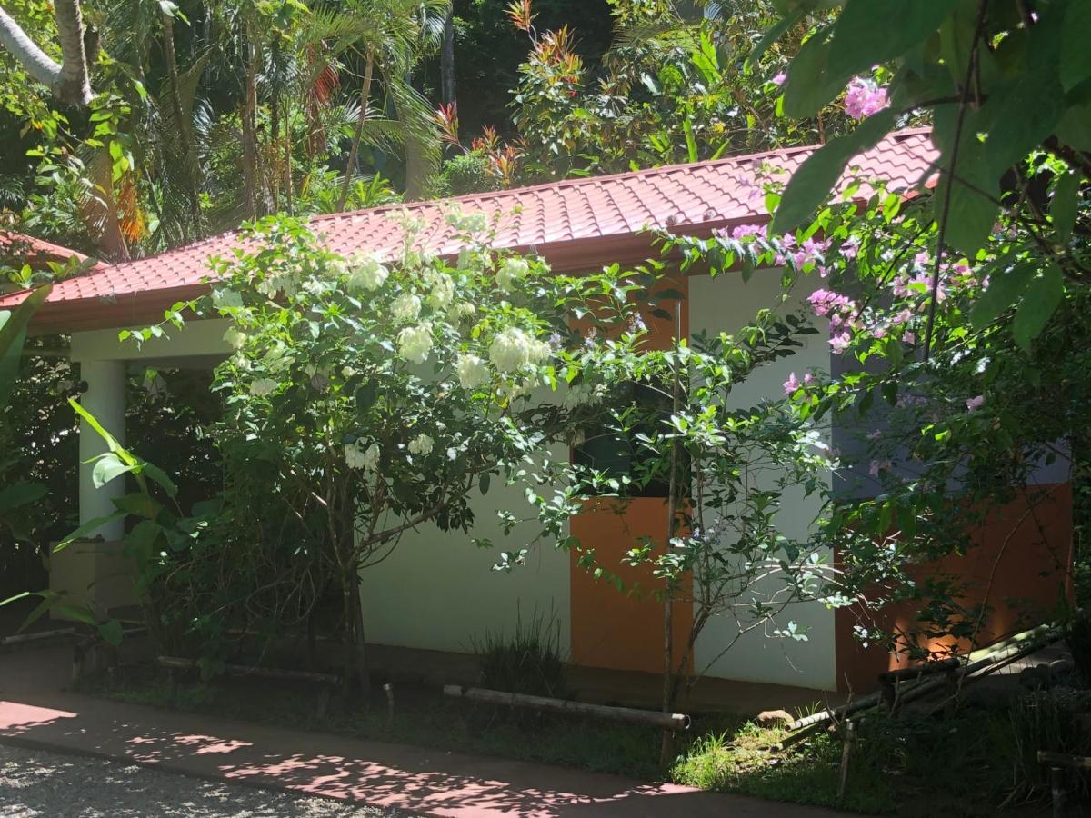 Casa Del Toucan Доминикал Екстериор снимка