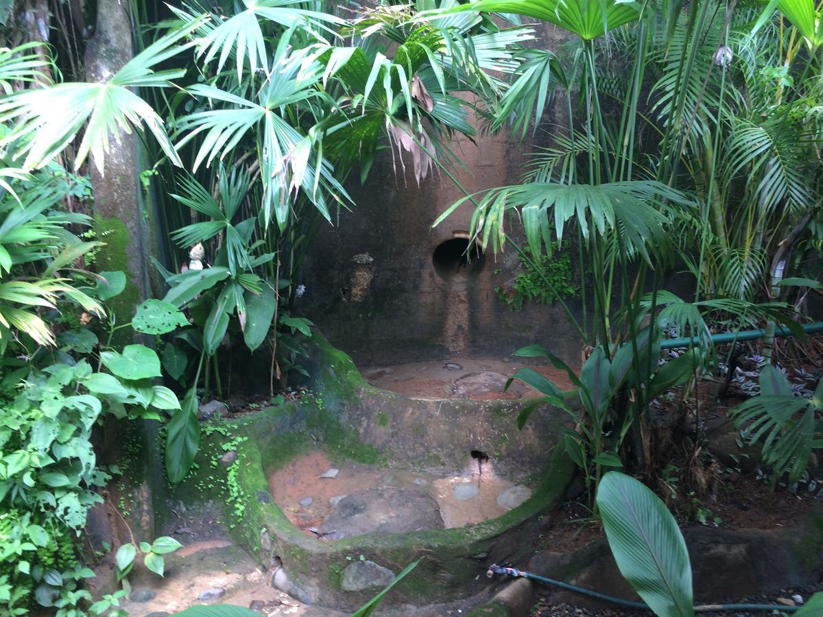Casa Del Toucan Доминикал Екстериор снимка