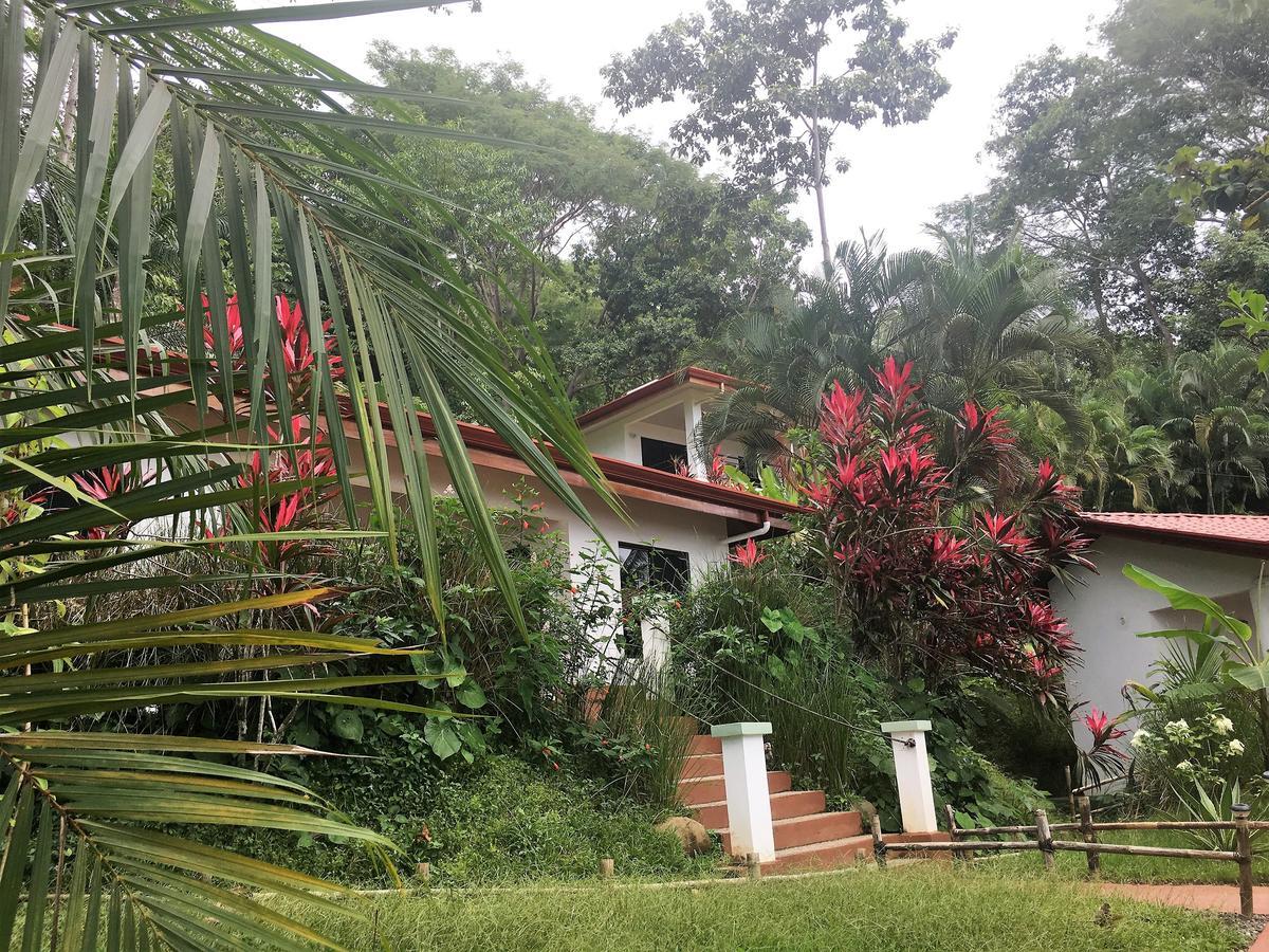 Casa Del Toucan Доминикал Екстериор снимка