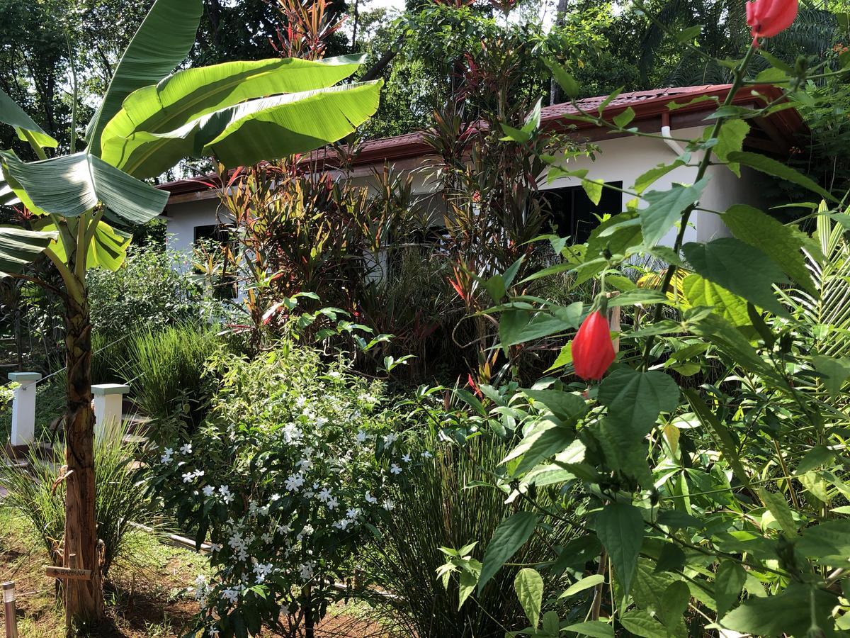 Casa Del Toucan Доминикал Екстериор снимка