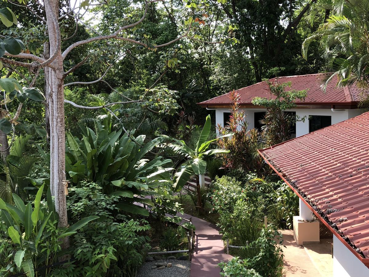 Casa Del Toucan Доминикал Екстериор снимка