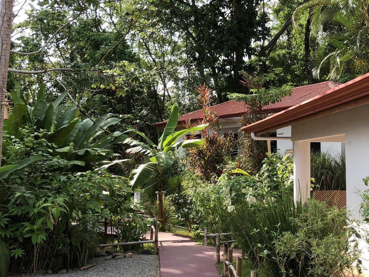 Casa Del Toucan Доминикал Екстериор снимка