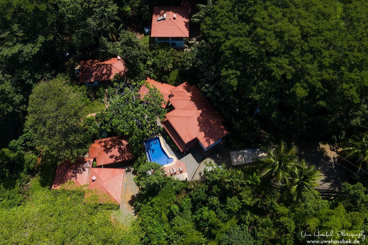 Casa Del Toucan Доминикал Екстериор снимка
